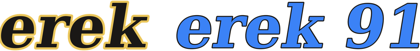 erek erek 91 logo